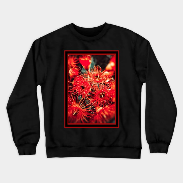 Beautiful Red Spikey Flowers Crewneck Sweatshirt by Blue Butterfly Designs 